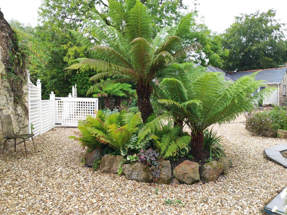 Bed and Breakfast Pleasant Streams Barn St Austell Exterior foto